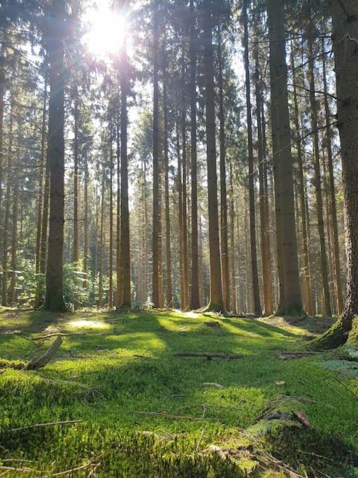 Gite N°4, En Pleine Nature, Frontalier Signy-le-Petit Esterno foto