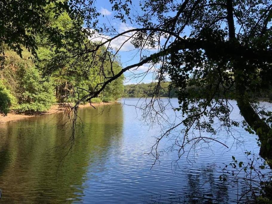 Gite N°4, En Pleine Nature, Frontalier Signy-le-Petit Esterno foto